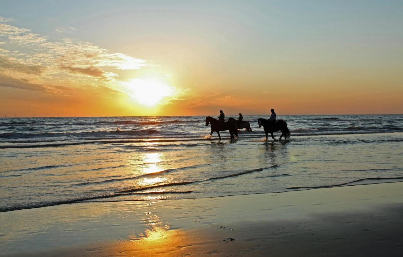 Mer Et Soleil A Blonville Sur Mer/ Deauville Екстер'єр фото